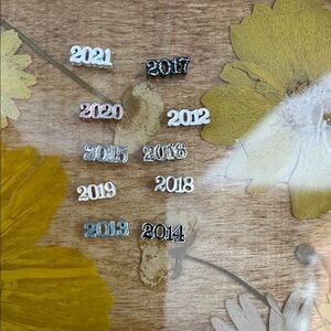 Origami Owl Silver and Gold Year Charms